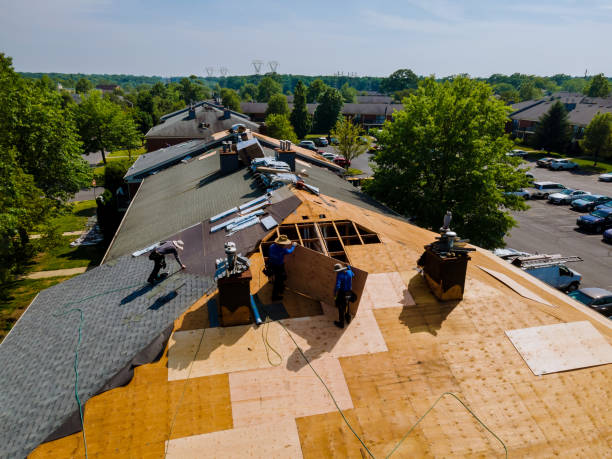 Quick and Trustworthy Emergency Roof Repair Services in Angels, CA