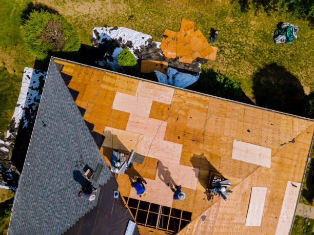 Best Shingle Roofing Installation  in Angels, CA