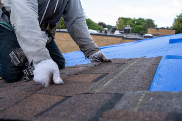 Best New Roof Installation  in Angels, CA